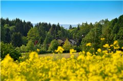 Ringhotel Altes Forsthaus Hardegsen - Freizeit