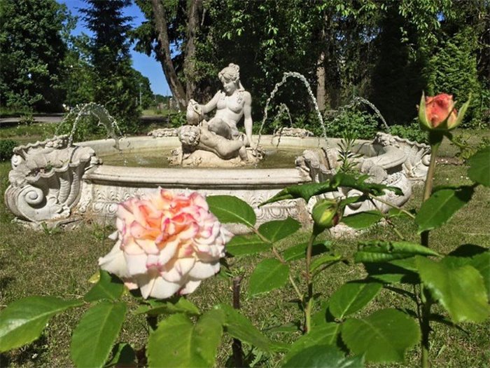 Garten